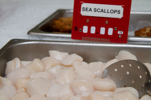 Cape Cod Seafood Market - Brewster Fresh Fish